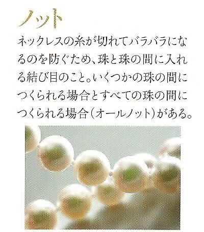 オールノットサンプル写真